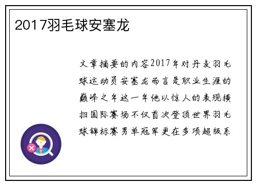 2017羽毛球安塞龙