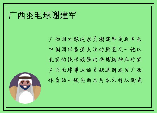 广西羽毛球谢建军