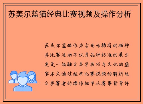 苏美尔蓝猫经典比赛视频及操作分析